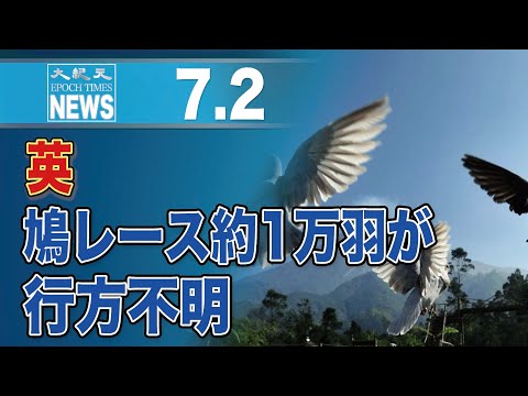英国の鳩レースで、約1万羽が行方不明に　地球磁場の変化が原因か