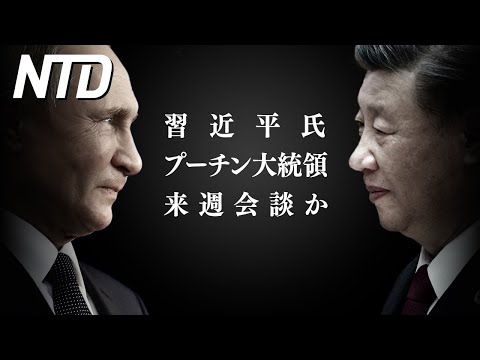 【ダイジェスト版】習近平氏　来週プーチン露大統領と会談か/中国自動車　30以上のブランドが値下げ など | NTD ワールドウォッチ