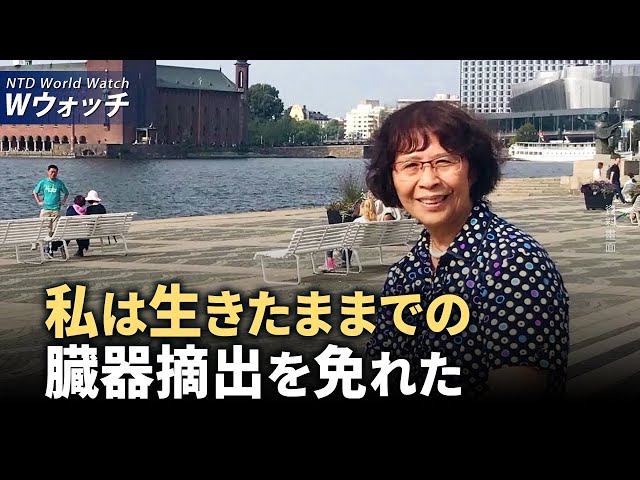 【ダイジェスト版】鮑学珍：私は生きたままでの臓器摘出を免れた / 暗殺未遂事件でトランプ氏がFBIの面談を同意 など | NTD ワールドウォッチ（2024年7月31日