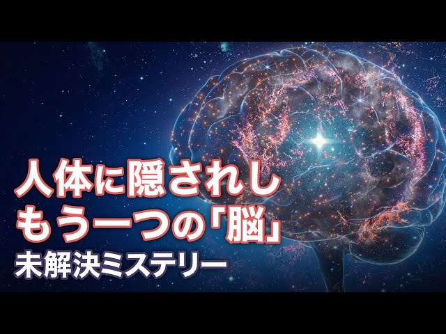 人体に隠されし　もう一つの「脳」【未解決ミステリー】| TEASER