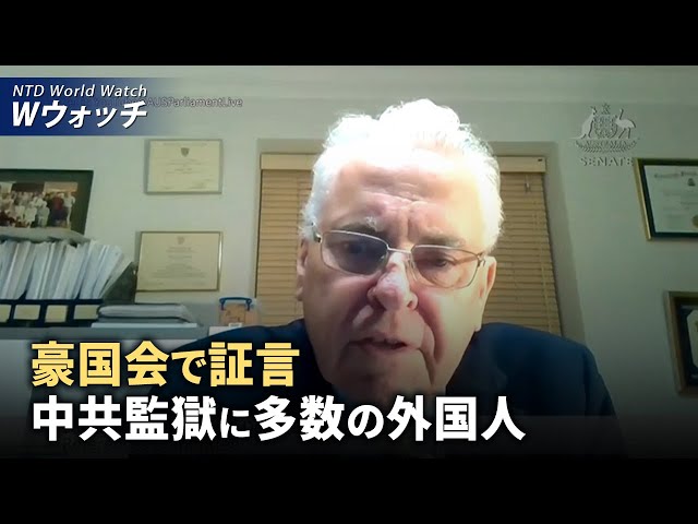 【ダイジェスト版】副大統領候補者の討論 優雅さの中に鋭さ/元記者が豪国会で証言　中共監獄に多数の外国人 など｜NTD ワールドウォッ