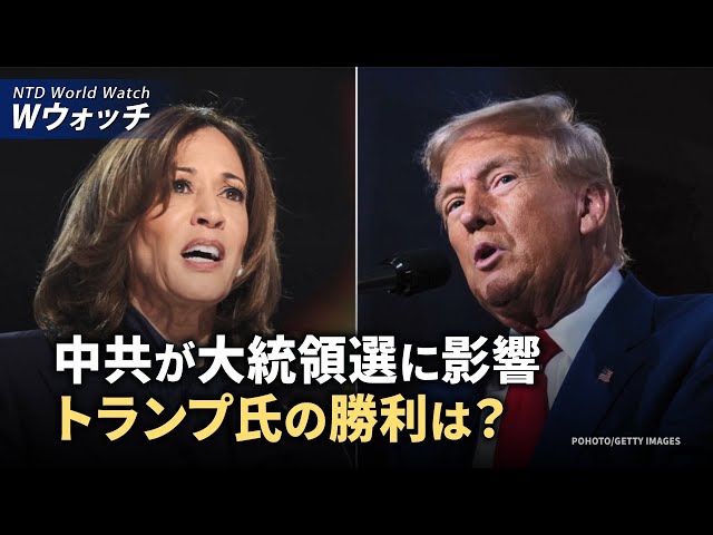 【ダイジェスト版】元選挙顧問：中共が大統領選に影響ートランプ氏の勝利は？/《正義のハンター》カナダで初上映、マタス氏に敬意 など