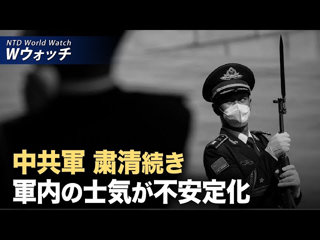 【ダイジェスト版】軍粛清続き 中共軍士気不安定/米国の裁判所がTikTokの緊急申立を棄却 など | NTD ワールドウォッチ