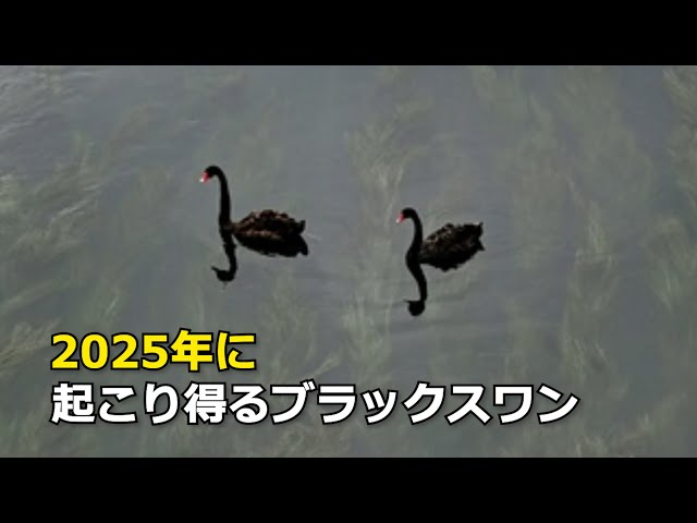 黄大衛氏に取材 2025年に起こり得るブラックスワン